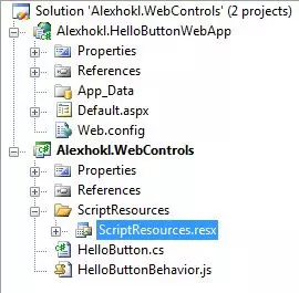 Image of resx in Solution Explorer